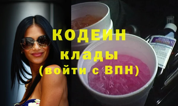 шишки Вяземский