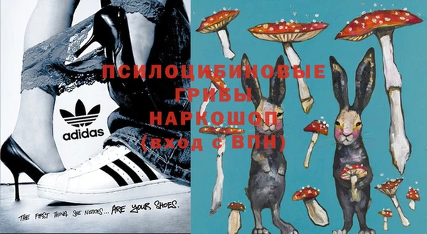 стафф Горнозаводск