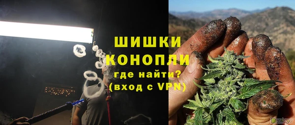 шишки Вяземский
